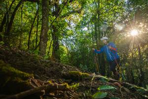 BIB: 
                            <button type="button" onclick="openModal(16015547)" class="btn btn-primary btn-sm float-right btn-popup" data-toggle="modal" data-target=".modal-high-quality">
                        <i class="fas fa-shopping-cart"></i> Add to Cart
                    </button>
                                            <button type="button" onclick="isThisMe(16015547, true)" class="btn btn-success btn-sm float-right btn-popup btn-isme hidden" data-toggle="tooltip" data-placement="bottom" title="นี่คือรูปของคุณใช่ไหม คลิกที่นี่เพื่อเอาเข้าอัลบั้ม">
                        <i class="fas fa-plus"></i> Add to album
                    </button>
                    <button type="button" onclick="isThisMe(16015547, false)" class="btn btn-warning btn-sm float-right btn-popup btn-isnotme hidden">
                        <i class="fas fa-ban"></i> Remove from album
                    </button>